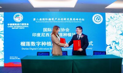 Kebangkitan Durian Indonesia, Kekuatan Baru dalam Industri Durian Global